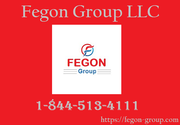 Fegon Group - 8445134111 - Best Network Security Solutions